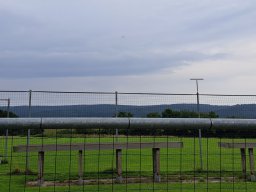 austausch19
