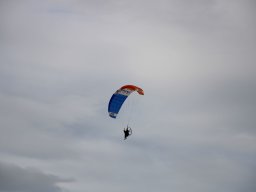 img_8768