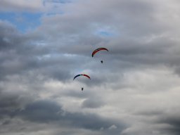 img_9445