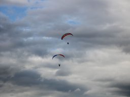 img_9446